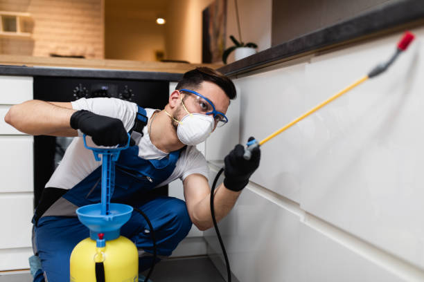 Best Pest Prevention Services  in Oyster Creek, TX