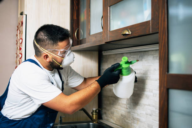 Best Residential Pest Control  in Oyster Creek, TX