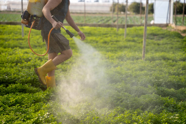 Best Emergency Pest Control  in Oyster Creek, TX