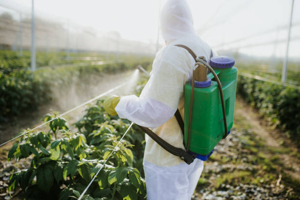 Best Best Pest Control Companies  in Oyster Creek, TX